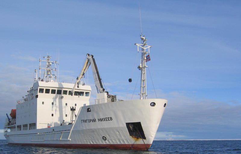 Die Grigoriy Mikheev